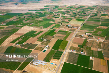 بیش از ۹۲۰۰ هکتار از اراضی بایر تعیین تکلیف شد