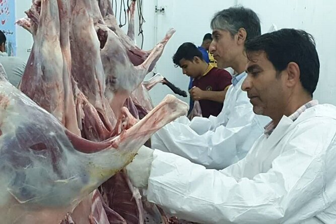 نظارت بهداشتی و شرعی ۲ اکیپ دامپزشکی گناوه در روز عید قربان نظارت بهداشتی و شرعی ۲ اکیپ دامپزشکی گناوه در روز عید قربان