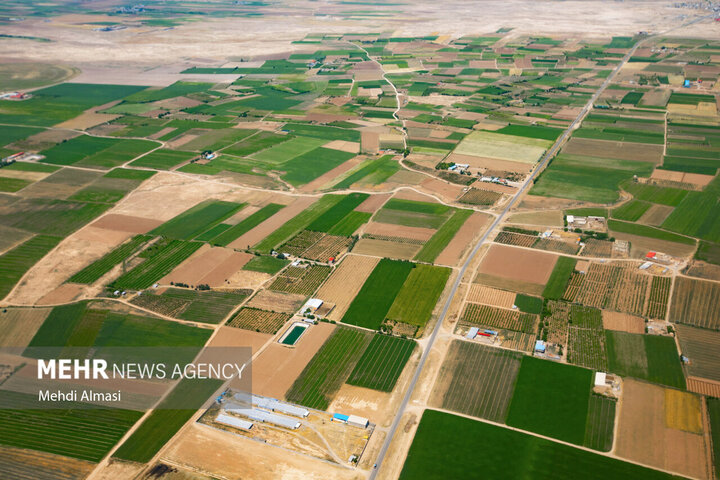 بیش از ۹۲۰۰ هکتار از اراضی بایر تعیین تکلیف شد