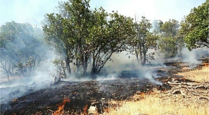 سهلانگاری مسافران آتش به جان جنگل گلستان انداخت+ فیلم