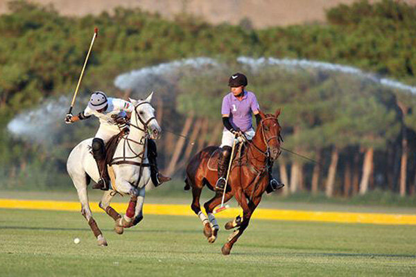 ناظری: بازسازی و توسعه زیرساختهای چوگان در دستور کار است 2