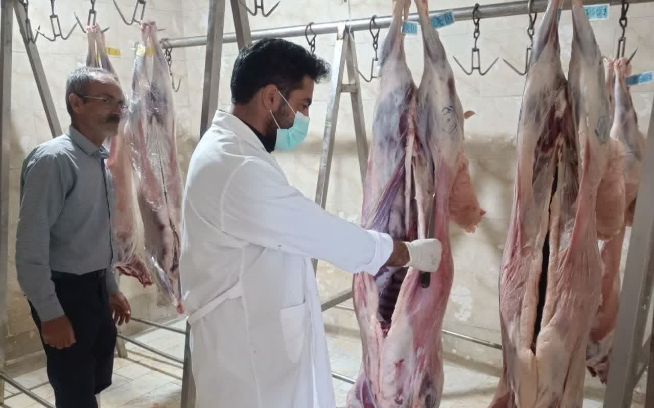 ذبح،دام،استان،شرعي،مركزي،قربان،دامپزشكي،عيد،روز