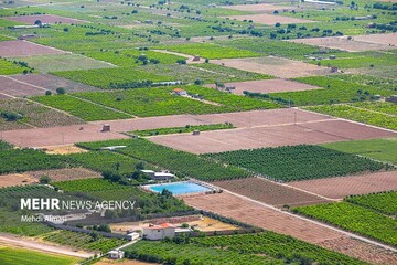 ارسال سند اصلاح ساختار سازمان تات به سازمان اداری و استخدامی کشور