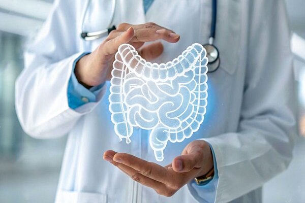 تولید پیش بالینی داروی نانویی برای درمان سرطان روده آغاز شد تولید پیش بالینی داروی نانویی برای درمان سرطان روده آغاز شد