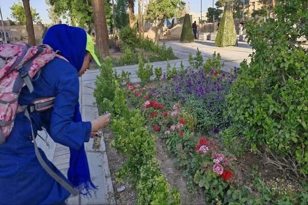 فيلتر،سيگار،طبيعت،ماده،سمي،دخانيات،زيستي،فعالان،پرندگان،سلام ...