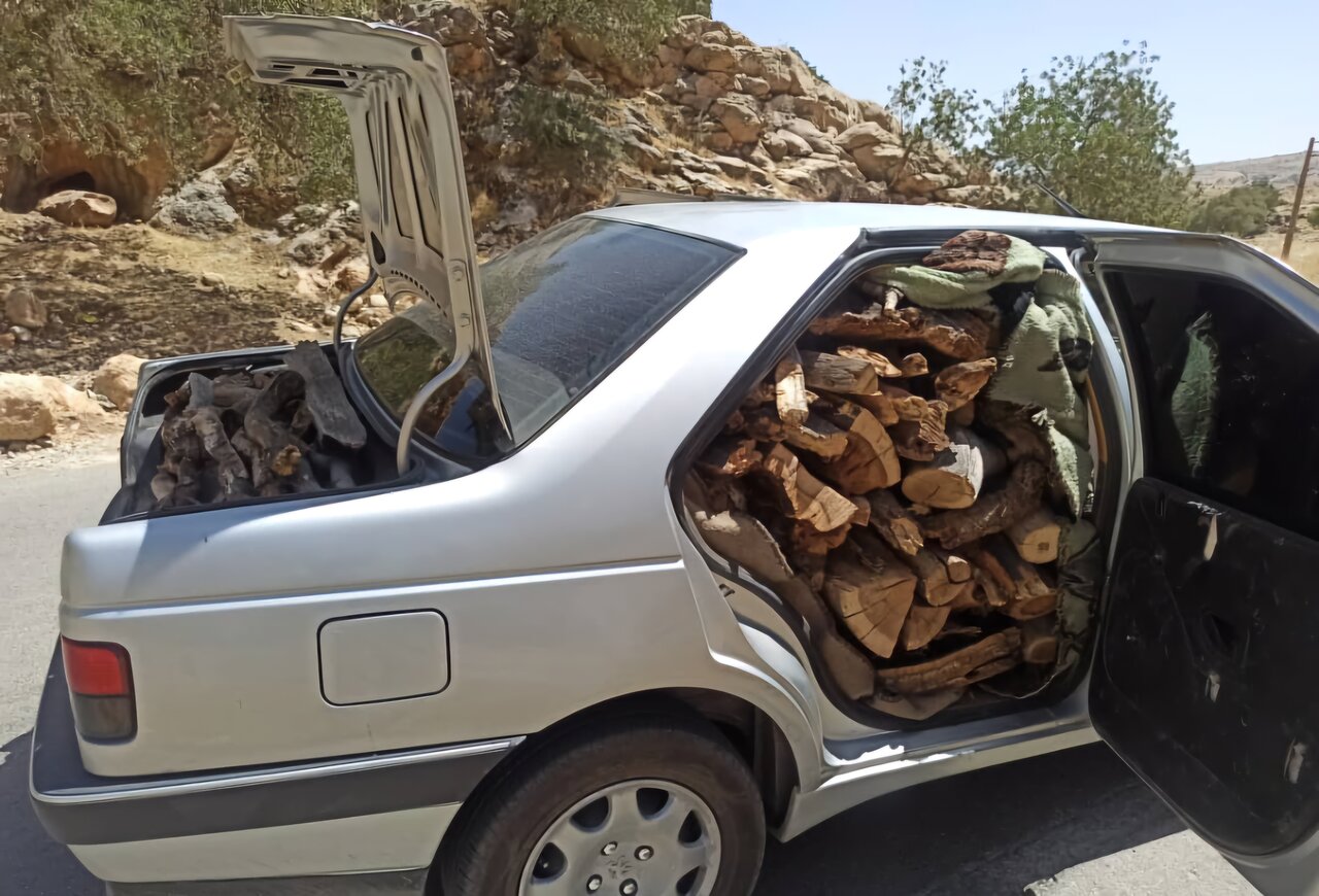 قاچاق،شوتي،گناوه،لري،گچساران