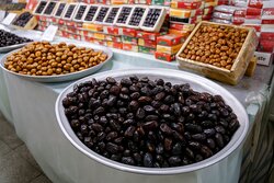 تکمیل زنجیره تولید و صادرات خرما لازمه توسعه پایدار جنوب کرمان است