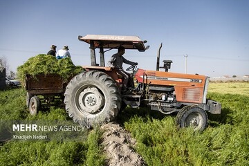 حلقه مفقوده استاندارد در سهمیه‌بندی سوخت، کشاورزان را پاسوز کرد