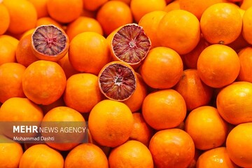 نظارت‌ بر بازار محصولات کشاورزی هرمزگان تقویت می‌شود