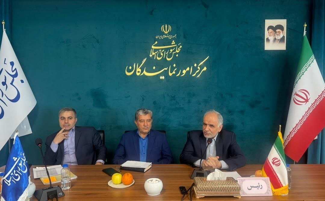 نمايندگان،ادوار،مشكلات،مجلس،كشور،ادامه،رئيس،رحيمي،دادگستري،پ ...