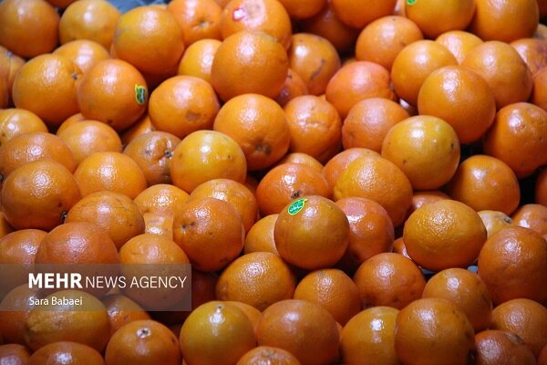 استان،كرمانشاه،ميوه،عيد،شب،بازار،اشنويه