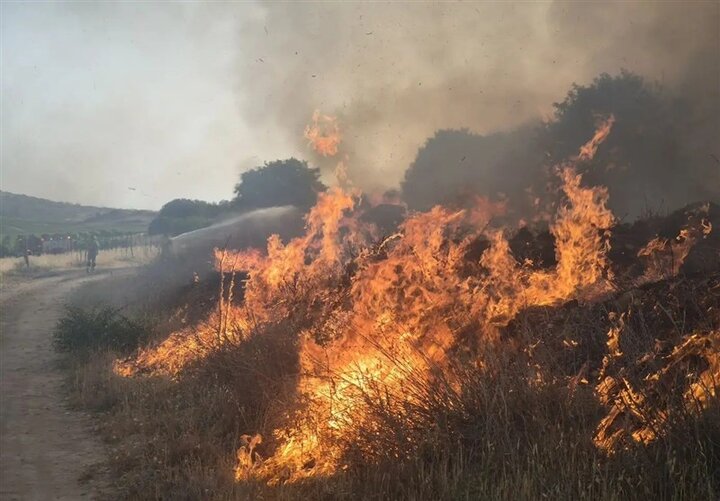 حريق في مرتفعات حديقة بمو الوطنية