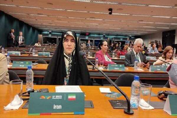 بريكس،زنان،انساني،عدالت،اجتماعي،–،زن،نمايندگان،اقتصادي،دستور ...
