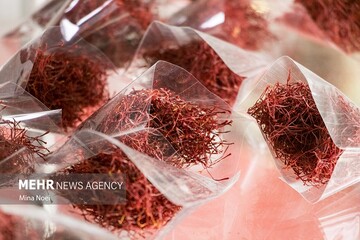 میری: باید زنجیره ارزش افزوده زعفران را کامل کنیم