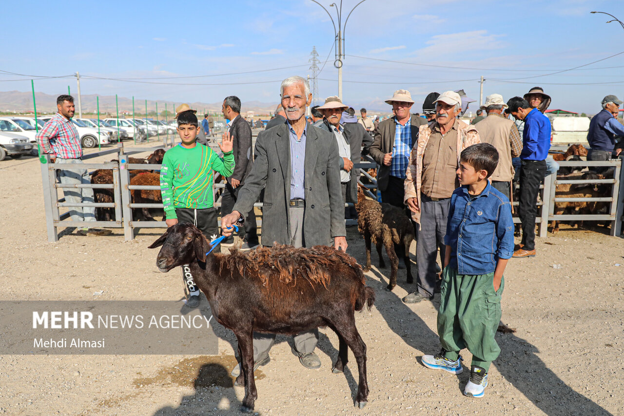 طرح جامع دامپزشکی همدان در عید قربان؛ سلامت مردم خط قرمز است