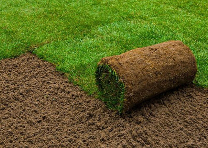 چمن،تراكتور،پروسه،تعويض