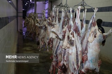 قیمت‌گذاری گوشت قرمز تنظیم بازاری توسط ستاد تنظیم بازار انجام شود