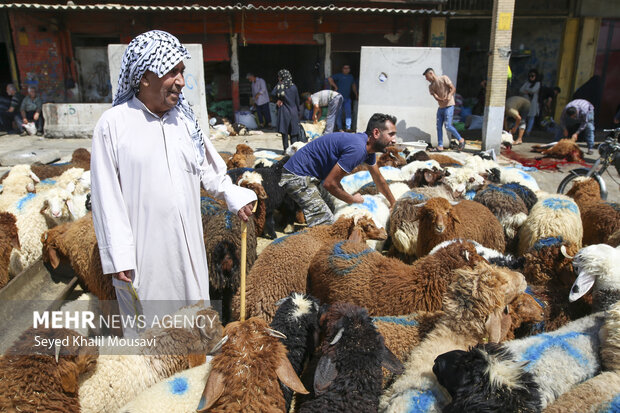 نظارت بر نحوه ذبح دام در روز عید قربان