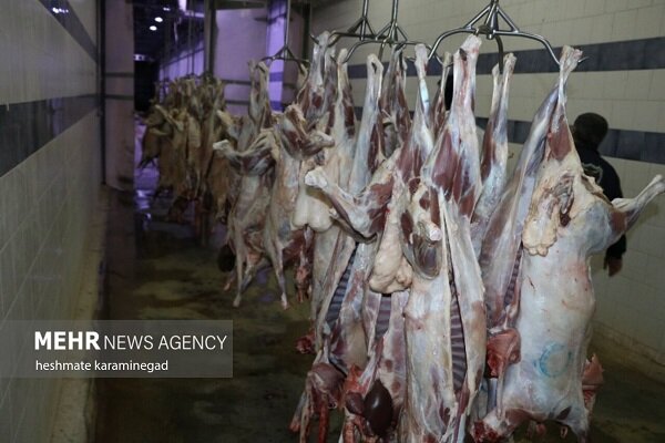 ثبت سفارش گوشت قرمز فردا آغاز میشود ثبت سفارش گوشت قرمز فردا آغاز میشود