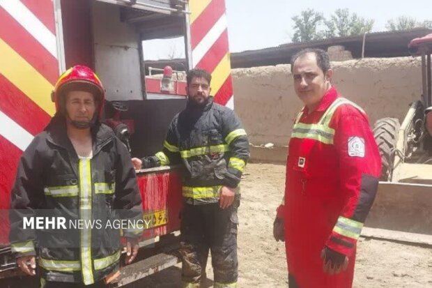 فاجعه در دامداری جلیلآباد؛ ۴۵ رأس دام در آتش سوختند