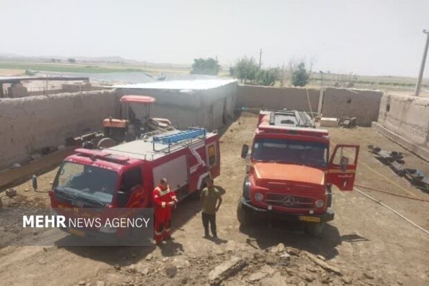 فاجعه در دامداری جلیلآباد؛ ۴۵ رأس دام در آتش سوختند