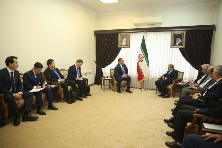 Coop. essential to tackle reginal challenges: Velayati