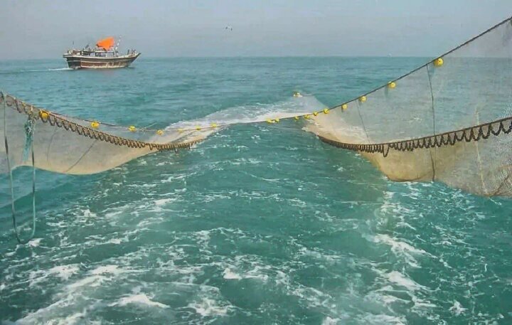 توقف صید ترال «یالاسبی» یک ضرورت است؛ لزوم احیای اکوسیستم خلیج فارس