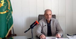 ۴۰ درصد گندم مزارع ری برداشت شد؛افزایش کیفیت محصولات سال جاری