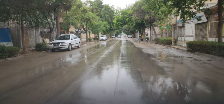 بوسه باران بر گونه خشک مازندران؛ جنگلها نفس تازه کردند