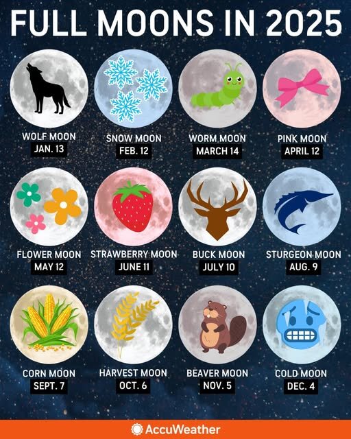 واقعیتهایی درباره ماه توتفرنگی ۲۰ و ۲۱ خرداد در ایران