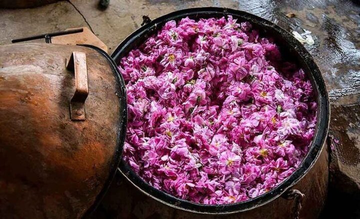 Iran Rose Water Festival. When the desert sucks scent