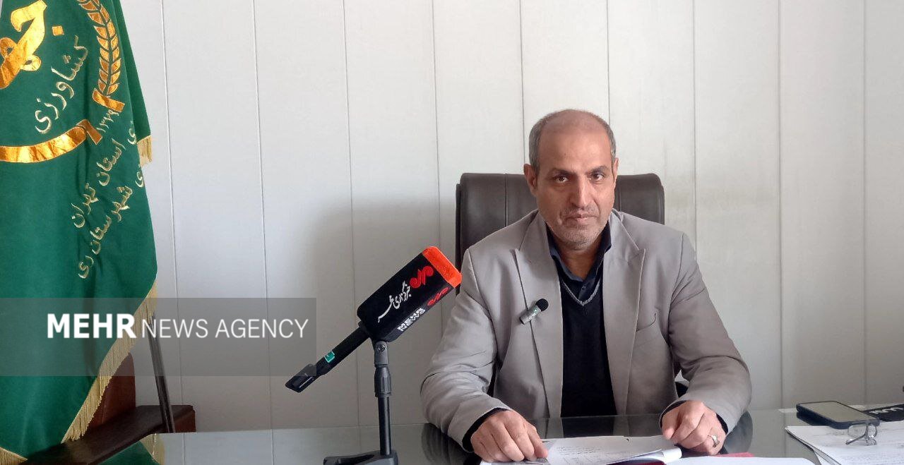 برداشت،گندم،ري،كشاورزان،شهرستان،كشاورزي،تحويلي،نادري