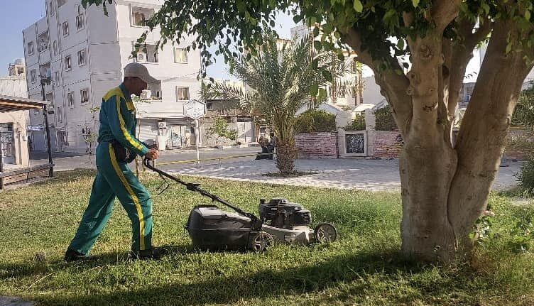 درختان،سبز،فضاي،هرس،خيابان،شهري،باقري،بهبود،اقدامات،عمليات