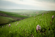 Germi County, green gem in Ardabil prov.