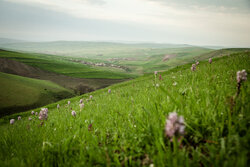 Germi County, green gem in Ardabil prov.