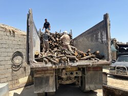 کامیون حامل ۸ تن چوب جنگلی قاچاق در تنکابن توقیف شد