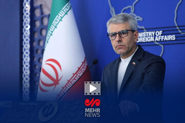 بقایی: در پیگیری منافع و حقوق ملت ایران مصمم و قاطع هستیم