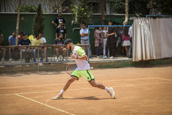 لزوم پرورش گلخانه‌ای تنیسور در مشهد