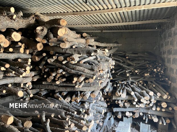 قاچاقچی حرفهای چوب در گلوگاه دستگیر شد