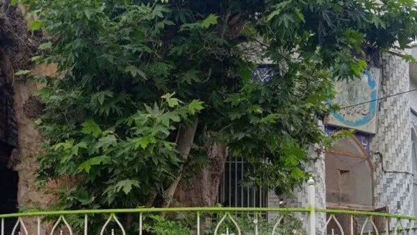 محیط زیست زیر سایه جنگ؛ یک میلیون تن آلودگی در آسمان ایران!