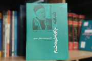 کتابی که وهابیون آن را زیر سوال برده‌اند؛ ماجرای شیعه شدن یک سنی
