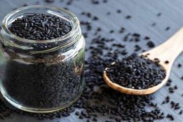 آغاز برداشت سیاهدانه در غرب گلستان با پیش‌بینی برداشت ۱۵۰ تن محصول