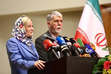 صالحي: الأسبوع الثقافي الروسي فرصة لتعزيز العلاقات التاريخية