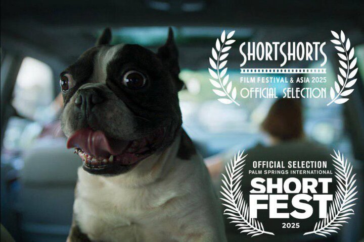 حضور «گوسفند» در ژاپن و آمریکا