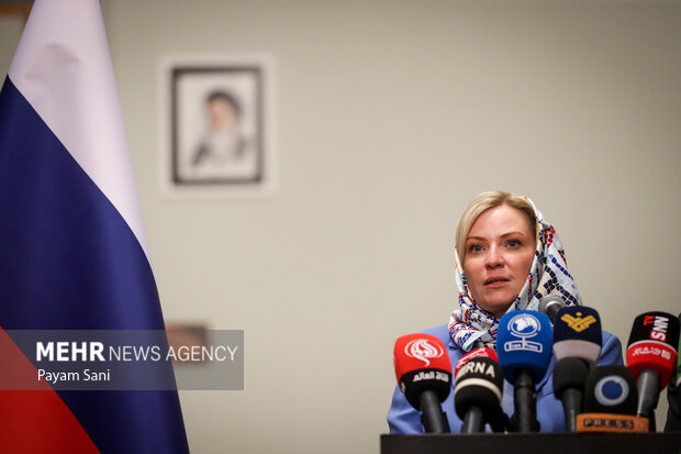 Толстой в Иране, Фирдоуси в России