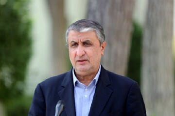 سەرۆکی ڕێکخراوەی وزەی ئەتۆمی ئێران: دەیانەوێت گوشار بخەنە سەرمان