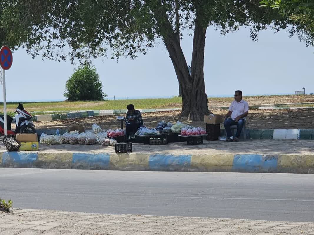 بازارچهای که نیست؛ قصه ناتمام بندر دیر