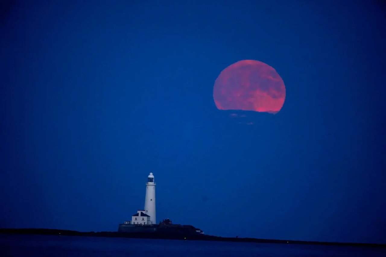 تصاویر «ماه توتفرنگی» را در سراسر جهان ببینید