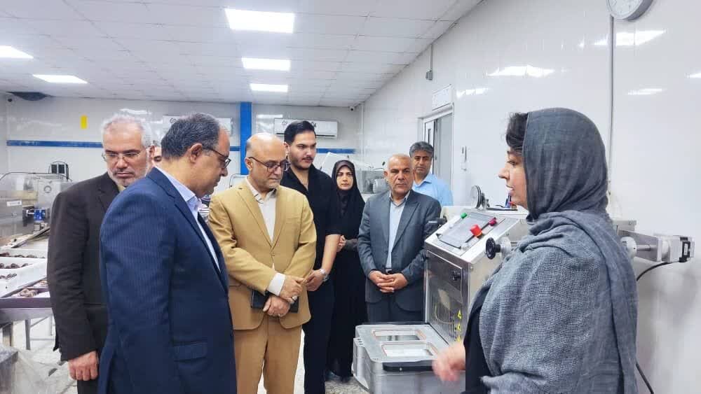 بوشهر،صنايع،بانوان،صنعتي،حوزه،حمايت،استان،توليد،مظفري