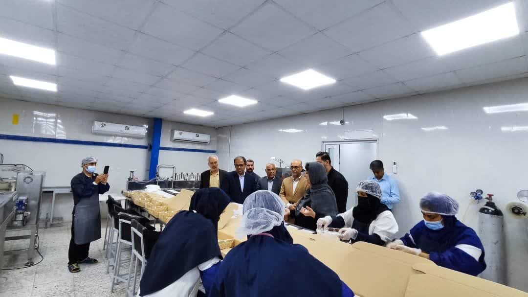 زیرساختهای صنعتی بوشهر توسعه مییابد